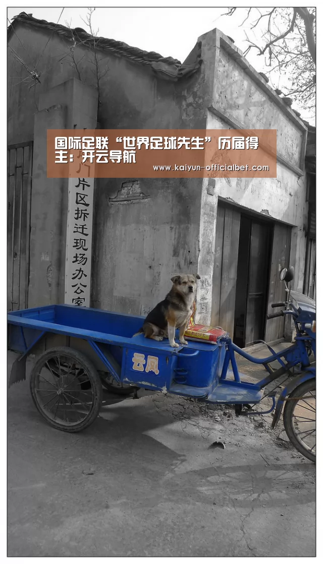 开云体育
