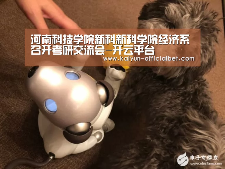 河南科技学院新科新科学院经济系召开考研交流会-开云平台(图1) 开云平台