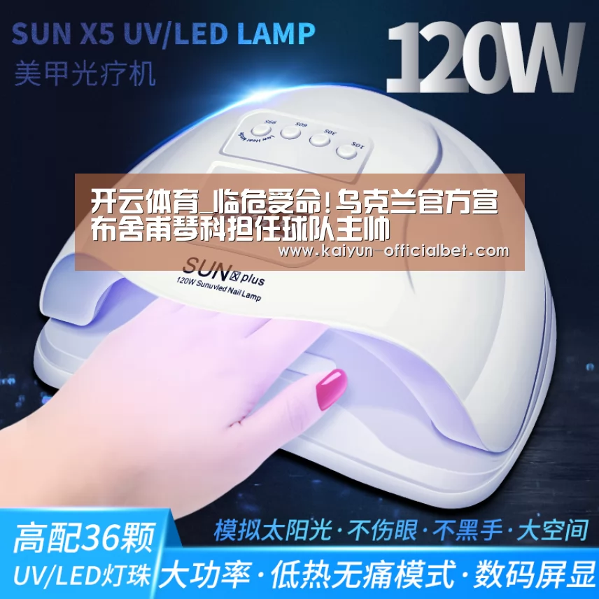 开云导航