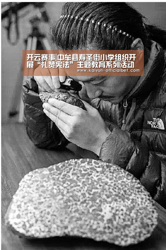 开云导航