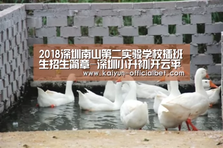 开云导航