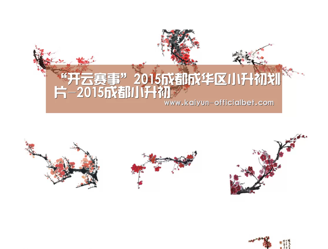 “开云赛事”2015成都成华区小升初划片-2015成都小升初(图1) 开云平台