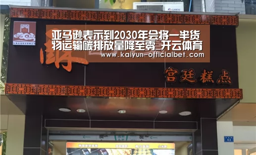 亚马逊表示到2030年会将一半货物运输碳排放量降至零_开云体育(图1) 开云导航