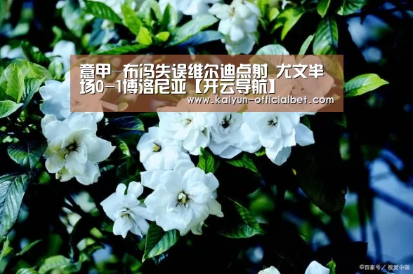 开云平台